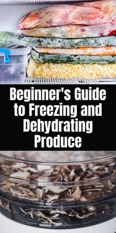 the beginner's guide to freezing and dehydrating produce in refrigerators