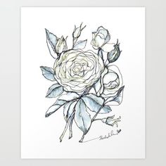 a drawing of a white rose with green leaves