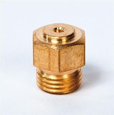 an image of a brass plated nut