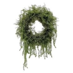 a moss wreath hanging from the ceiling on a white background with clipping for text