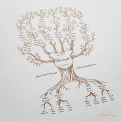 Limited Edition' Family Branches Taupe Digital Family Tree Template MyGeneTree Family Tree Examples, Family Tree Templates, Family Tree Drawing, Genealogy Art, Family Tree Painting, Family Tree Designs, Family Tree Art, Family Tree Project, Family Tree Chart