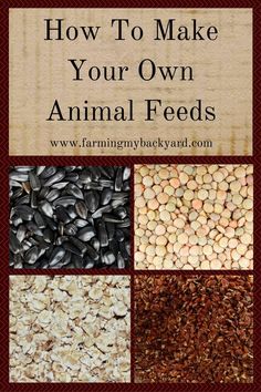 how to make your own animal feed