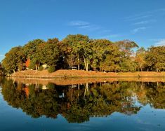 a body of water with trees in the background and blue sky reflected on the water