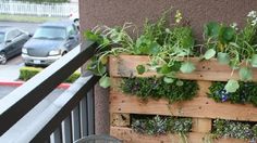 a wooden planter filled with lots of green plants on top of a metal railing