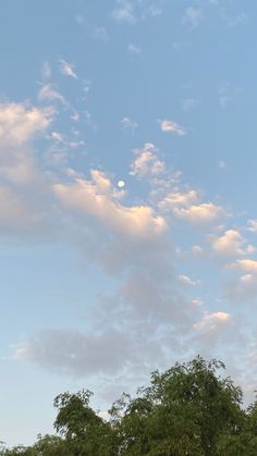 an airplane is flying high in the sky above some trees and bushes with a half moon behind it