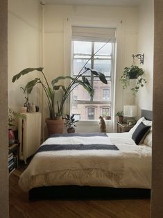 a bed sitting next to a window with potted plants on top of the bedspread