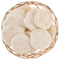 white sand dollars in a basket on a white background