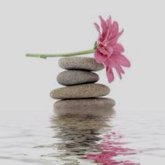 Mini Jardin Zen, Mindfulness Meditation Exercises, Stacked Rocks, Meditation Exercises, Easy Meditation, Mindfulness Exercises, Zen Meditation, Daily Meditation