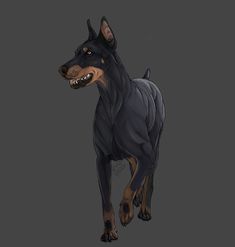 a black and brown dog standing on top of a gray background