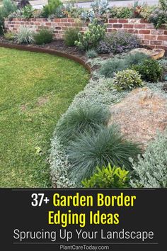 garden border edging ideas with text overlay