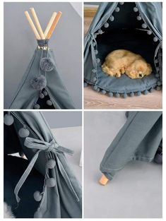 four different pictures of a dog in a teepee