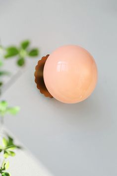 an egg sitting on top of a white table next to a green leafy plant