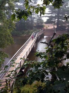 people walking across a bridge over a river in the woods on a foggy day