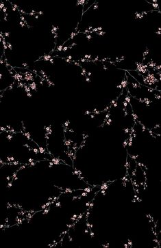 a black background with pink flowers on it