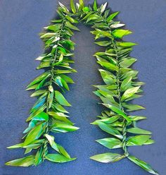 green leaves are arranged in the shape of a triangle