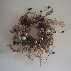 dried flowers and plants are arranged in a circle on the wall with white walls behind them