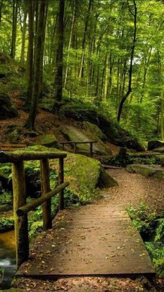 a wooden bridge over a small stream in the woods with moss growing on it's sides