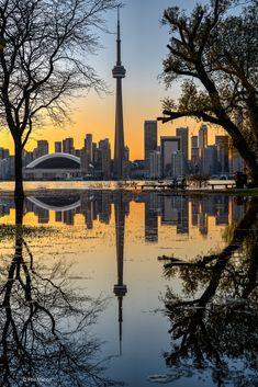 the sun is setting in front of a cityscape with trees and buildings reflected in the water