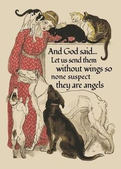 a woman in red dress standing next to two dogs and three cats with text that reads, and god said let us send them without wings so one suspect they are angels