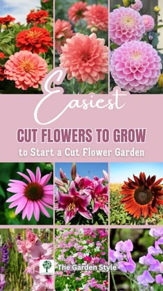 flowers to grow in the garden with text overlay that reads best cut flowers to grow