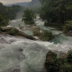 a river running through a forest filled with lots of trees and water flowing down it's sides