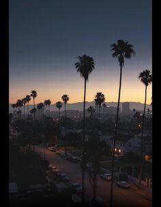 palm trees line the street in front of a city at dusk with mountains in the background