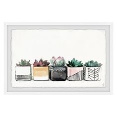 three pots with succulents in them on a white background