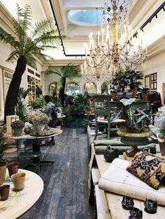 a room filled with lots of potted plants next to a tall chandelier