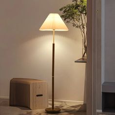 a lamp that is sitting next to a box and a plant in a room with white walls