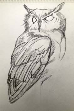 a drawing of an owl with big eyes