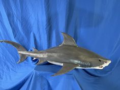 a fake shark is shown on a blue background