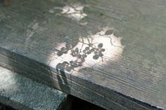 the shadow of a plant on a wooden bench