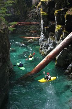 three people in kayaks paddling through the water near large rocks and fallen trees