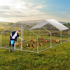 a man standing in front of a chicken coop with chickens inside and on the ground