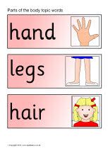 the words in this worksheet are for hands, legs and hair