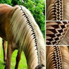 the horse has long hair with intricate braids on it's back and sides