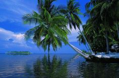 two palm trees in the water with a boat in the distance on a tropical island