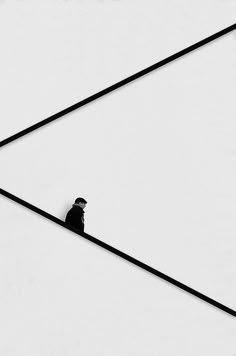 a bird sitting on top of a power line