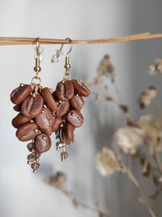 some coffee beans are hanging from a hook on a branch with gold earwires