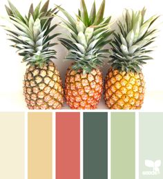 three pineapples with different shades of green and yellow