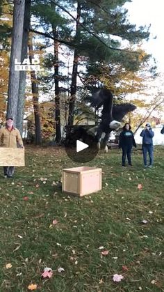 several people are standing in the grass with boxes on their backs and one person is holding an object