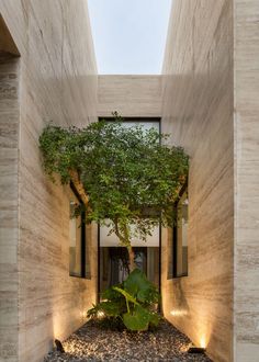 an indoor area with plants and lights on the walls, along with stone flooring