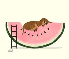 a dog laying on top of a watermelon slice with a ladder to the side