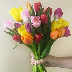 a person holding a bouquet of colorful tulips