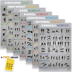 the complete guide to bodyweight workouts and exercises for beginners, includes dvd's