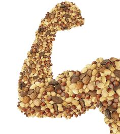 the letter g made up of nuts and seeds