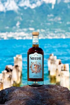 a bottle of wine sitting on top of a rock next to the ocean with mountains in the background