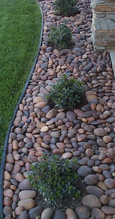 a garden path made out of rocks and gravel