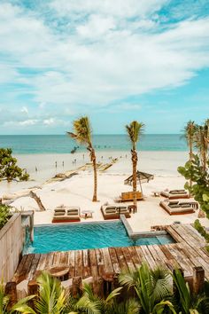 an outdoor swimming pool with lounge chairs and palm trees in the foreground on a tropical beach