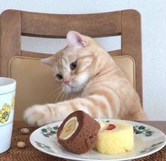 an orange tabby cat sitting on a chair next to a plate with desserts